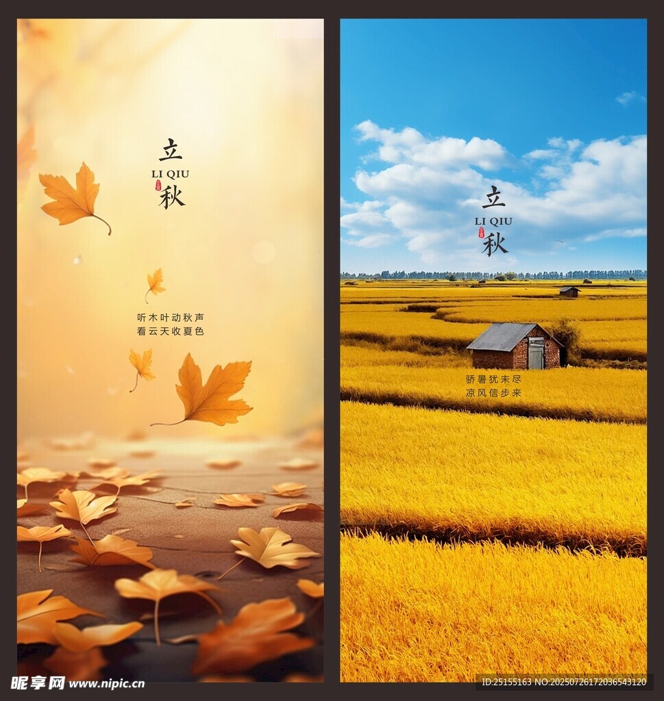 立秋节气
