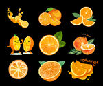 多彩橙子插画集合
