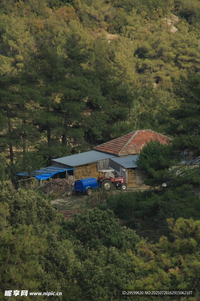 山林中的静谧小屋