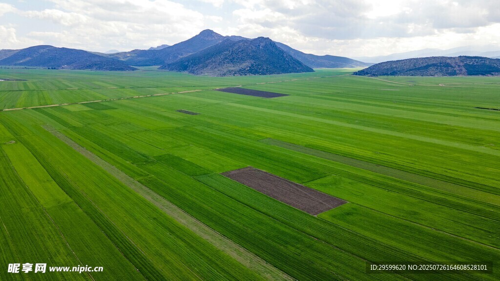 广袤绿野与远山美景