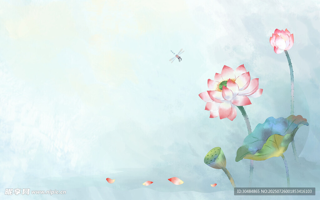 荷花
