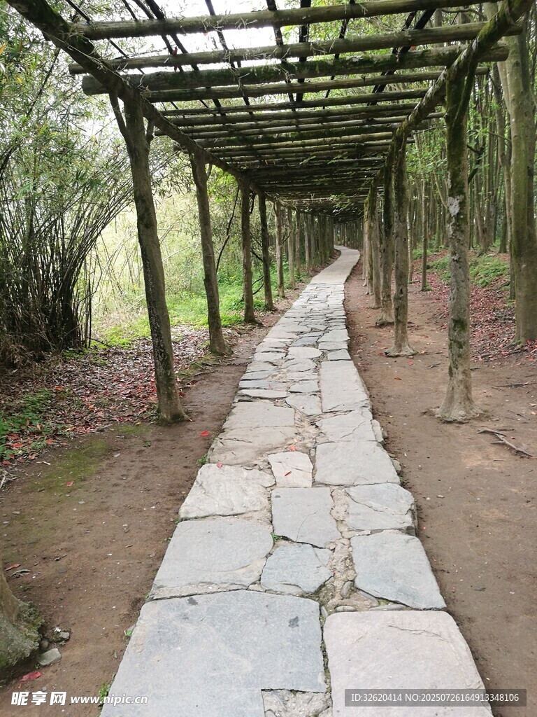林间石径木廊 清幽之景