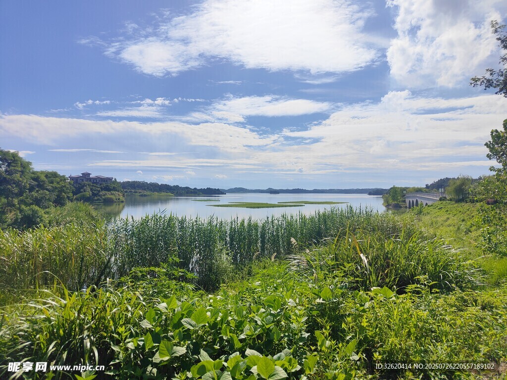 湖畔绿野风光