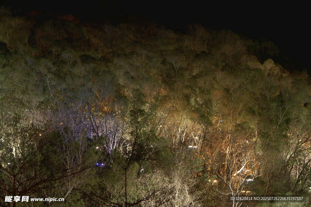 夜间山林灯光景观