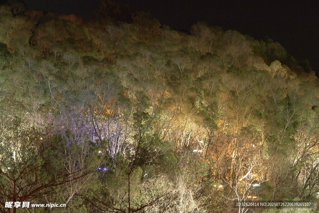山林夜景灯光秀