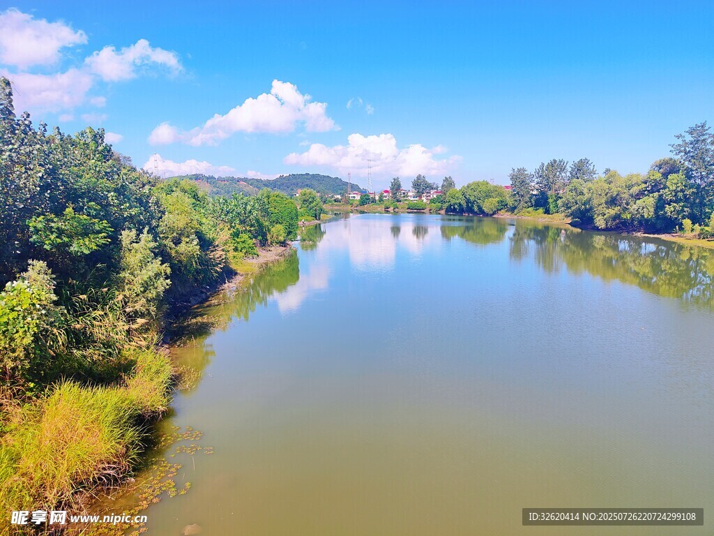 河畔风光 绿意盎然的美景