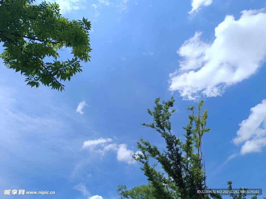 蓝天绿树间的清新景致