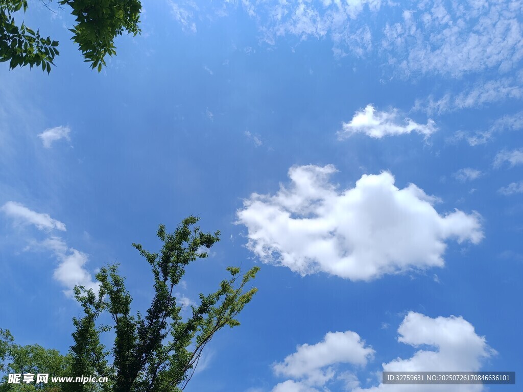 蓝天绿树间的白云美景