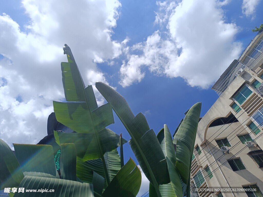 城市中的绿植雕塑景观