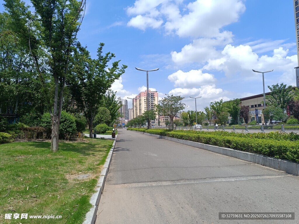 城市中的宁静林荫道路