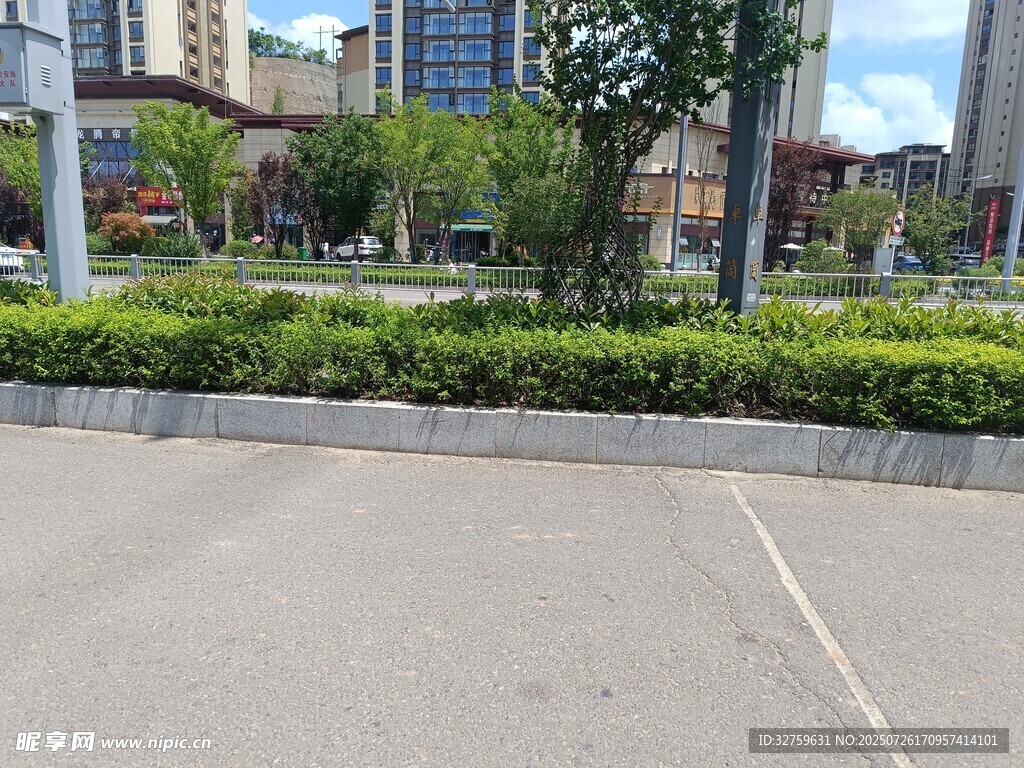 城市道路旁的绿植景观