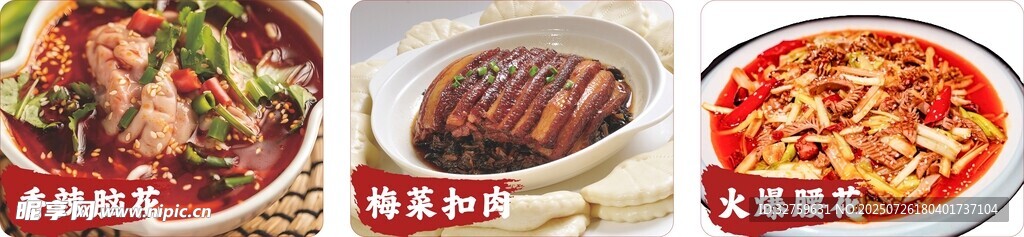 多样美味披萨展示