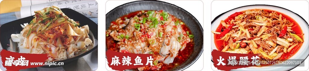多样美味披萨展示