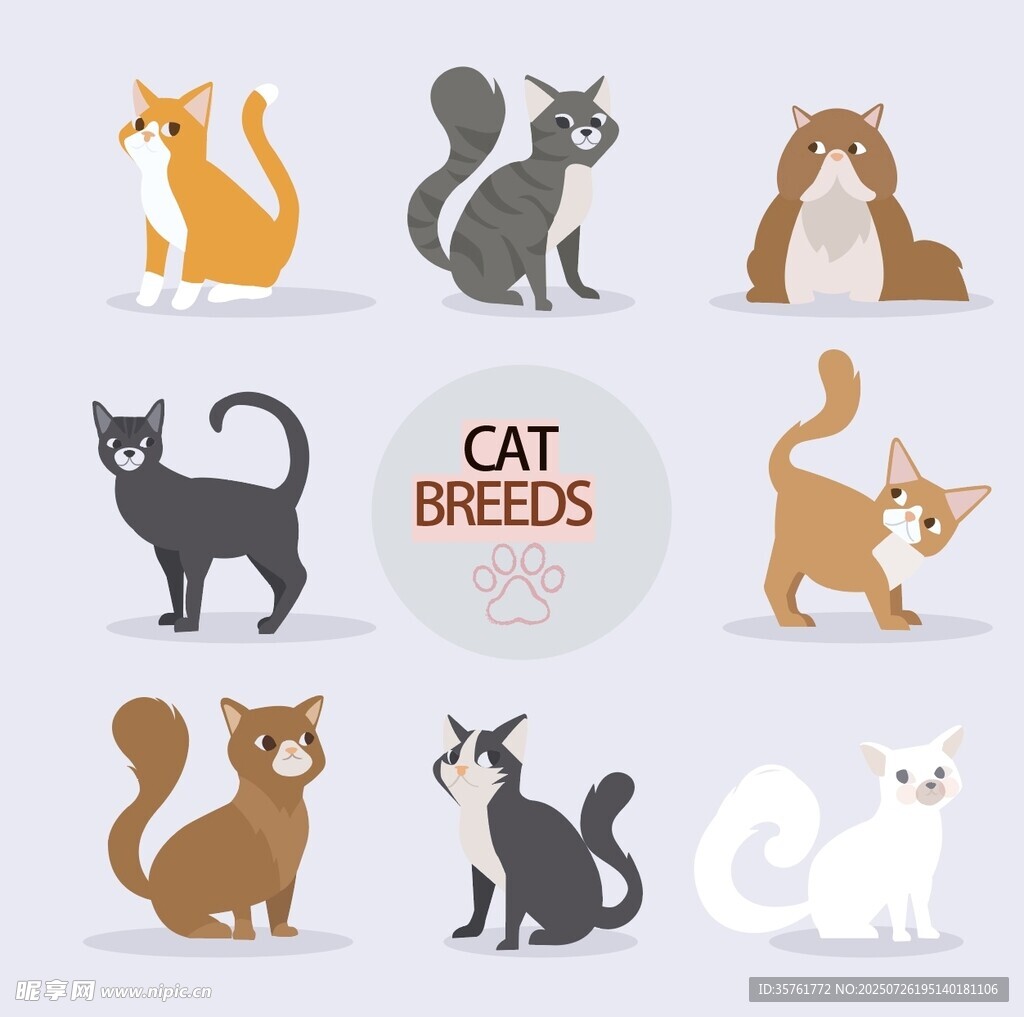 多样猫咪品种插画展示