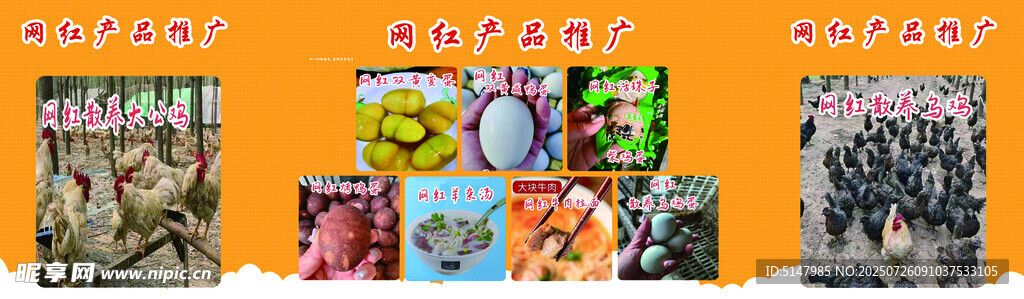 网红产品展示
