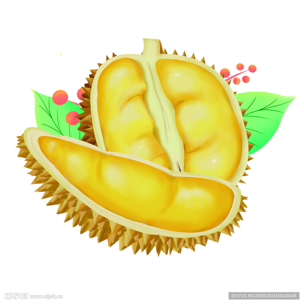 榴莲及果肉
