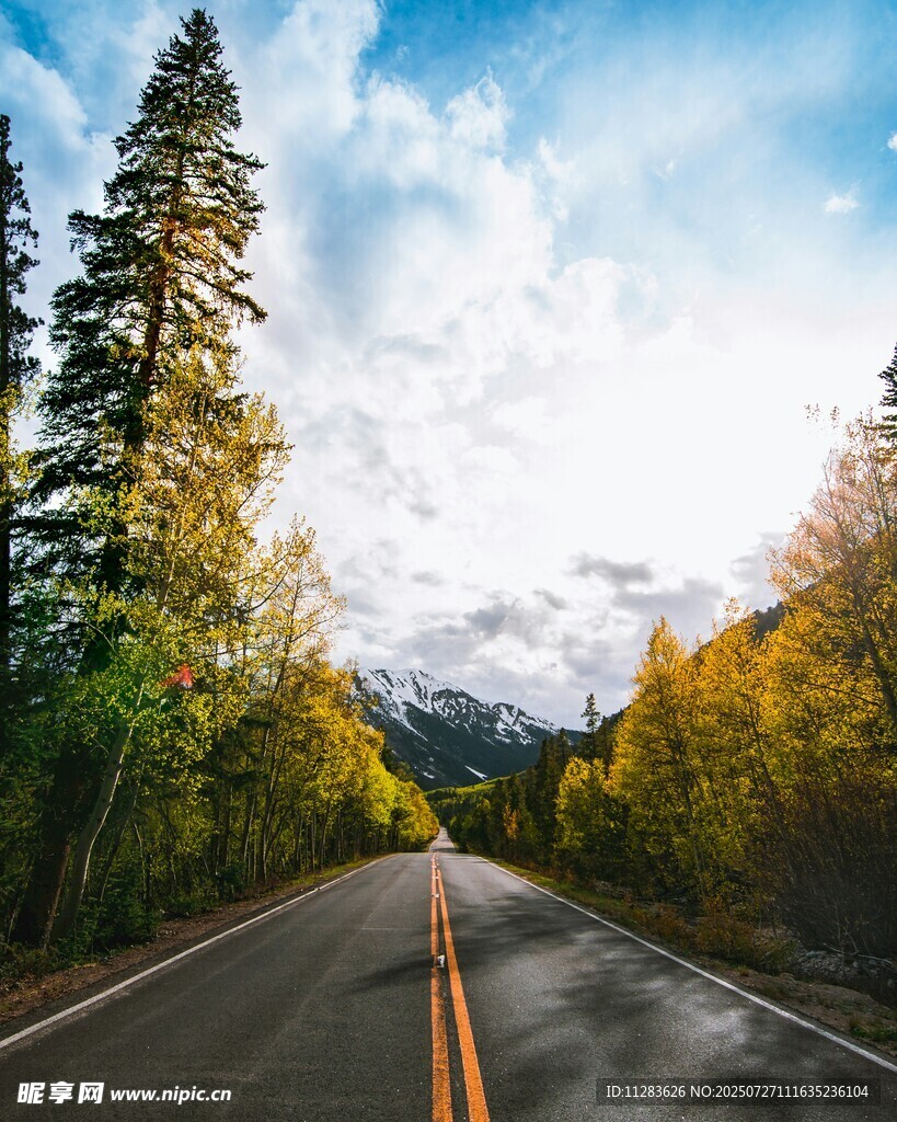 秋日林间公路美景