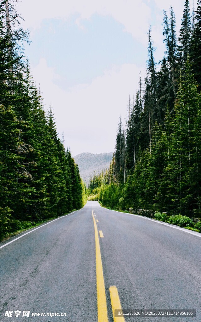 林间公路