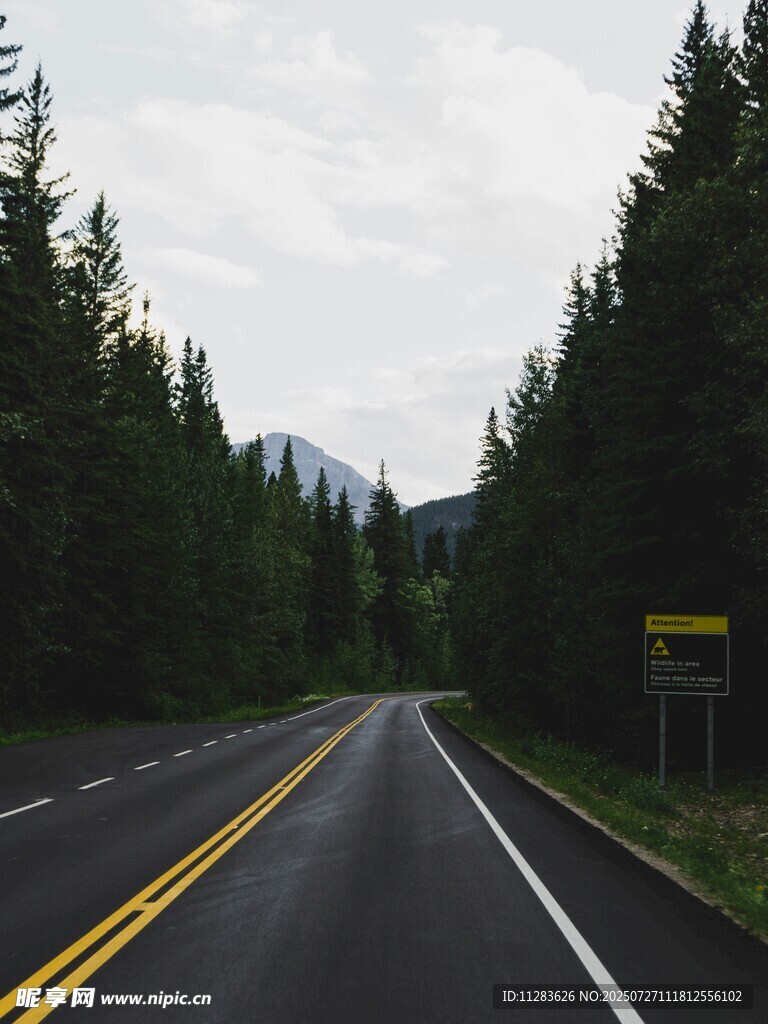 林间公路风景