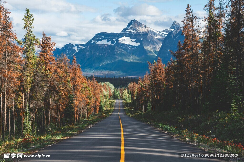 秋日山间公路美景