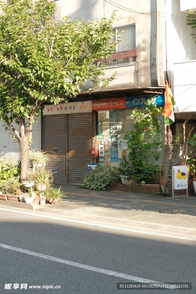 街边小店旁的绿植景致