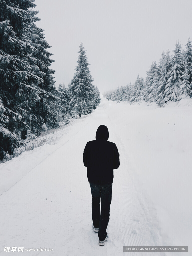雪中独行者