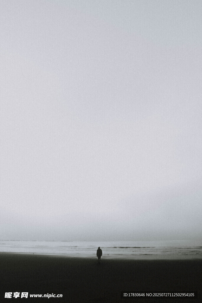 雾中孤影