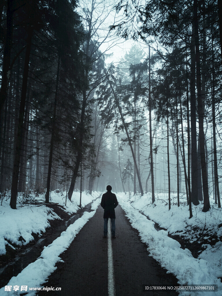 雪地林间独行者