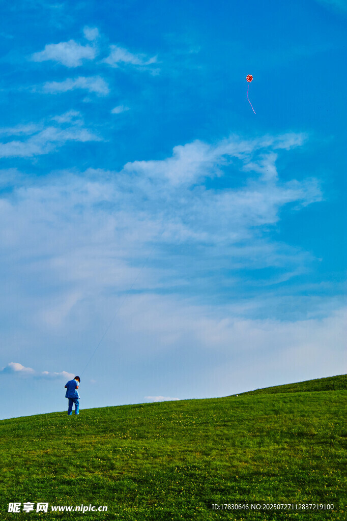 草地上的人在放风筝