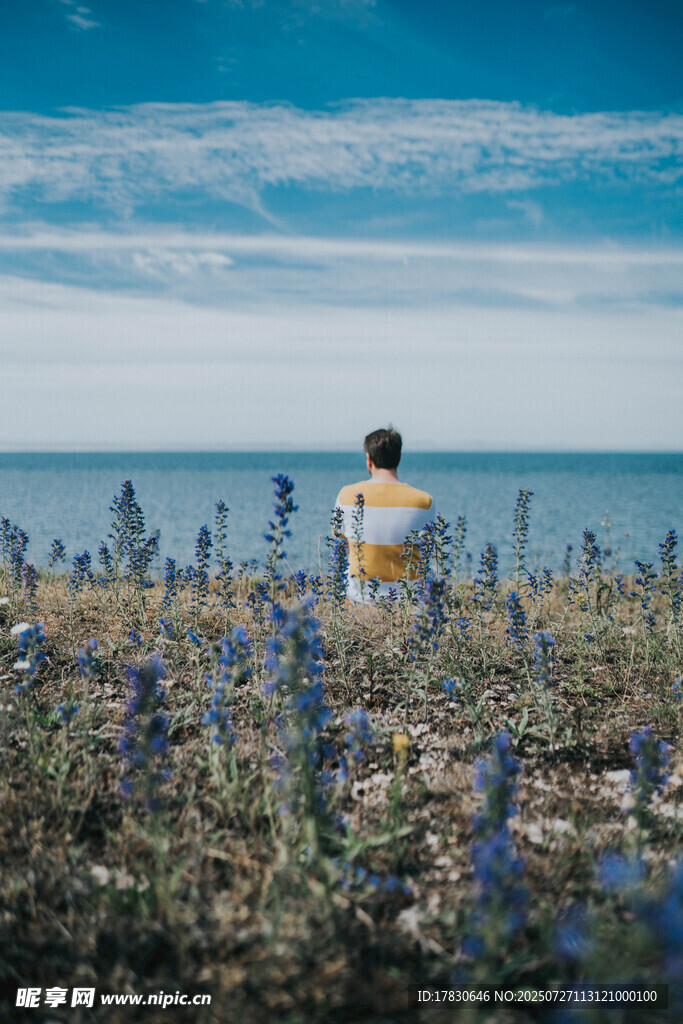 海边花丛中的孤独背影
