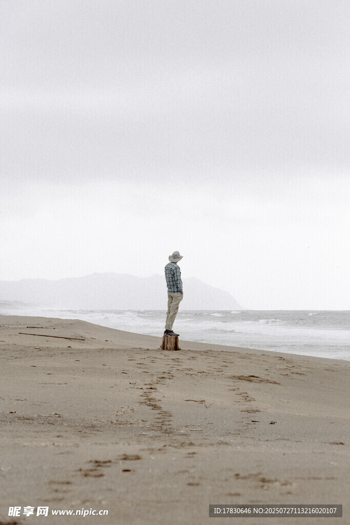 海边一人一狗漫步沙滩