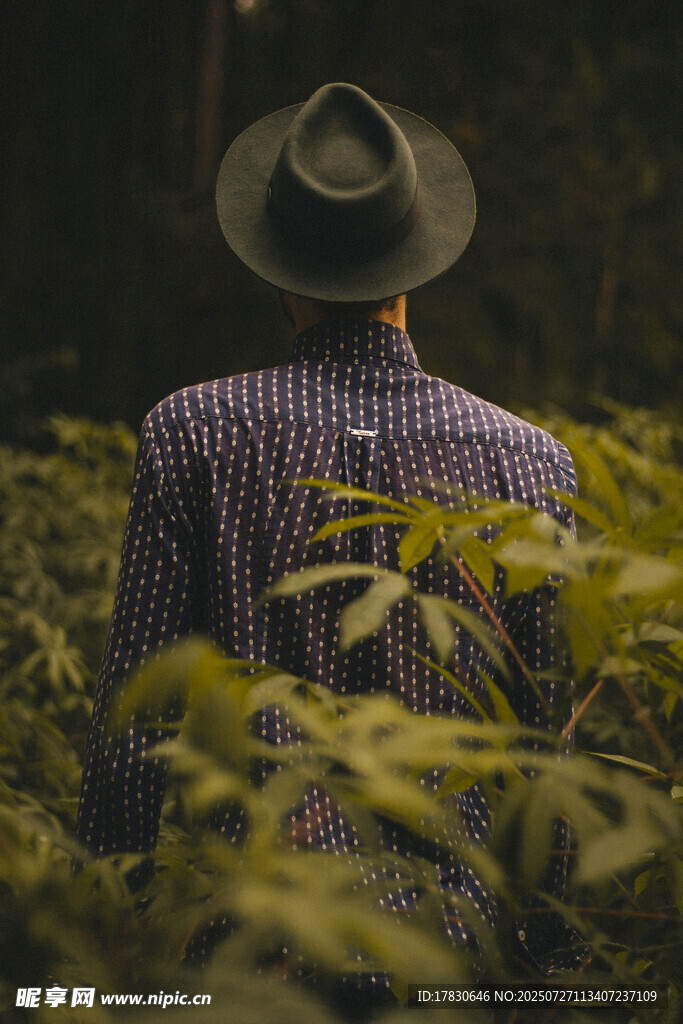 戴帽男子置身绿植间