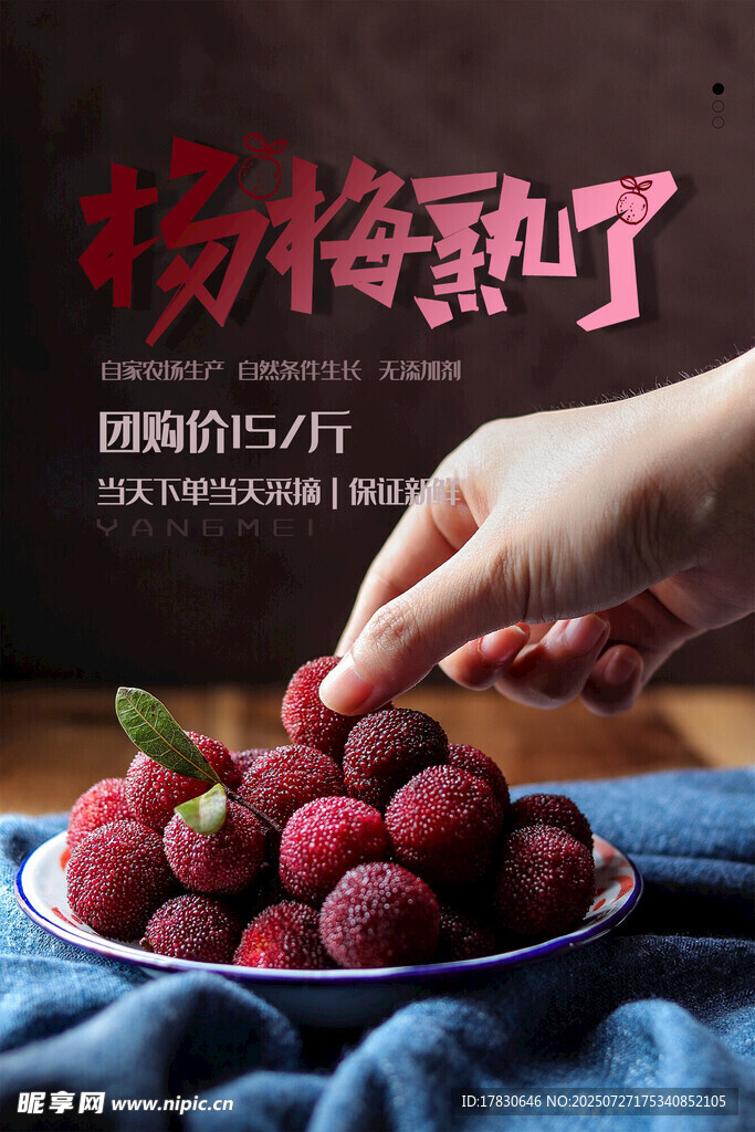 杨梅海报 