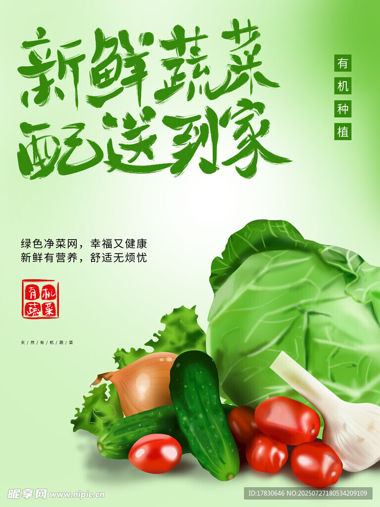 新鲜蔬菜配送到家服务