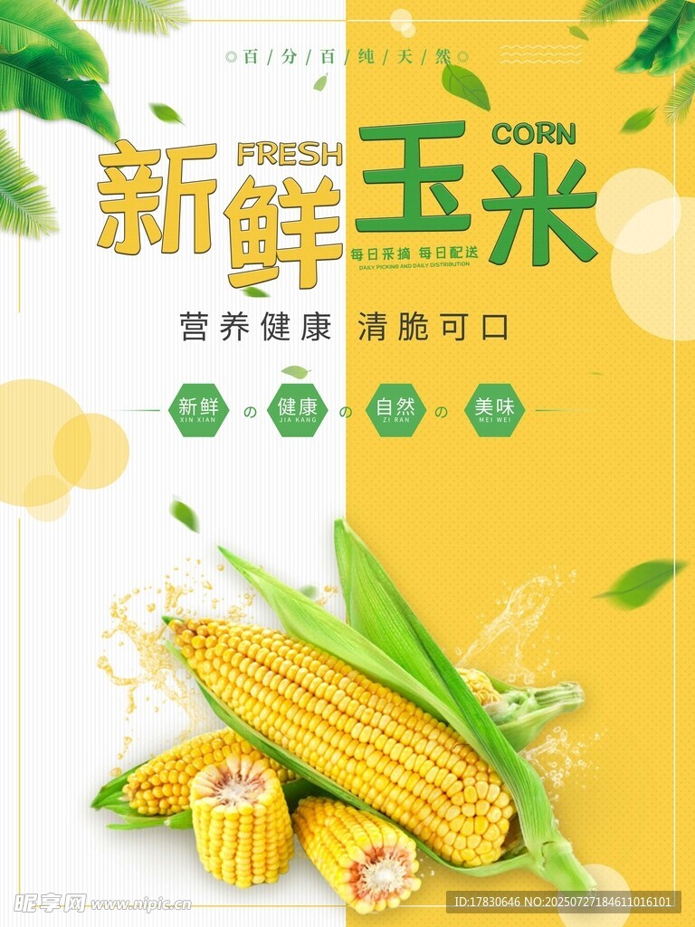 玉米海报 
