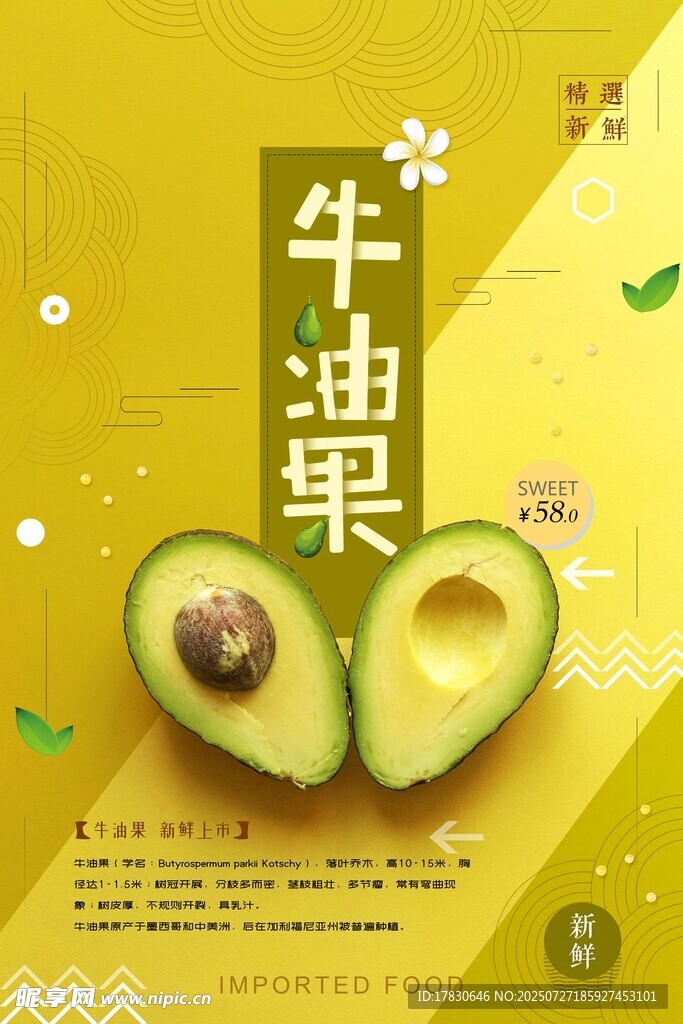 牛油果宣传图