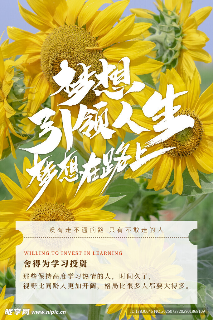 梦想起航开启绚丽人生
