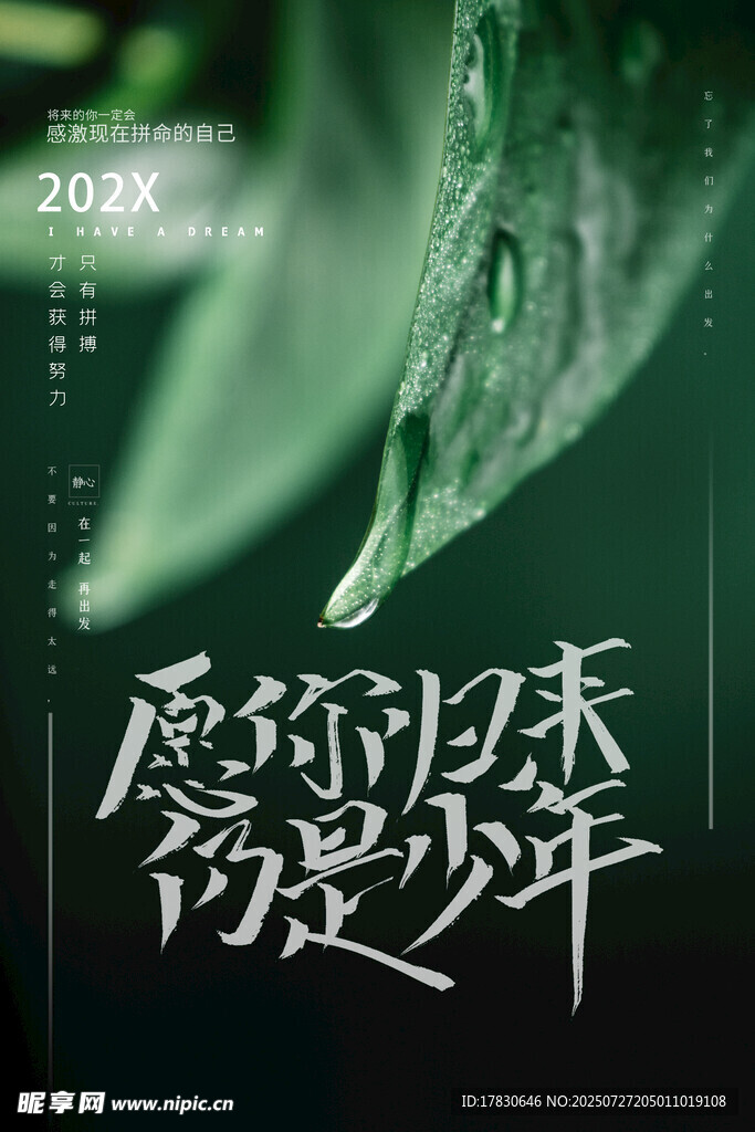 愿你归来仍是少年海报