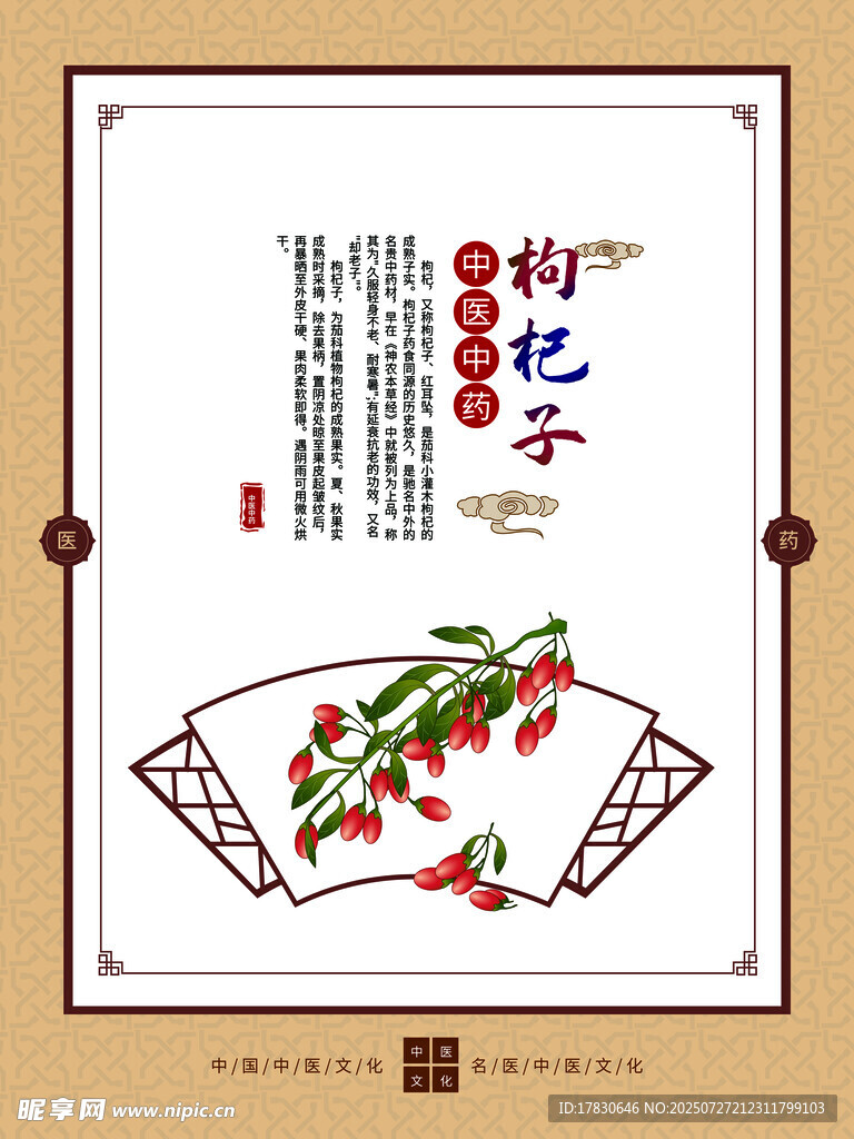 枸杞插画设计