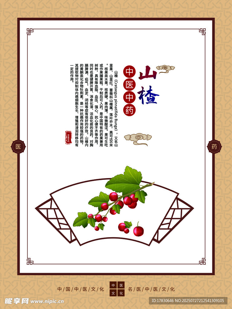 中式传统枸杞插画设计