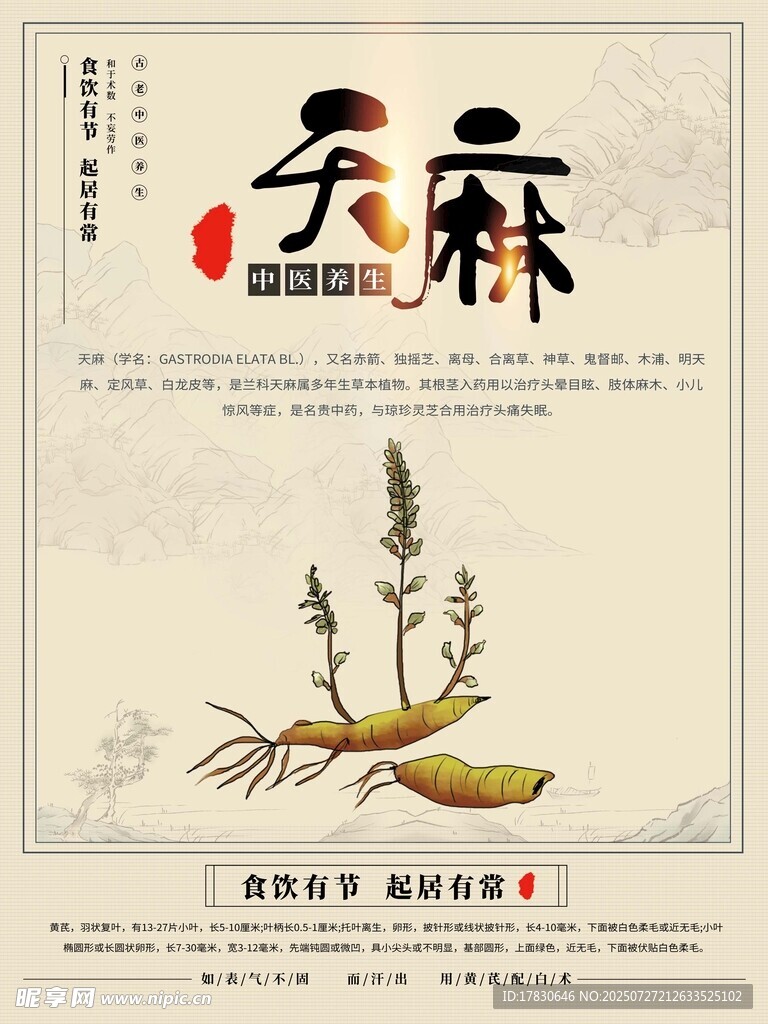 天然无硫中药材展示