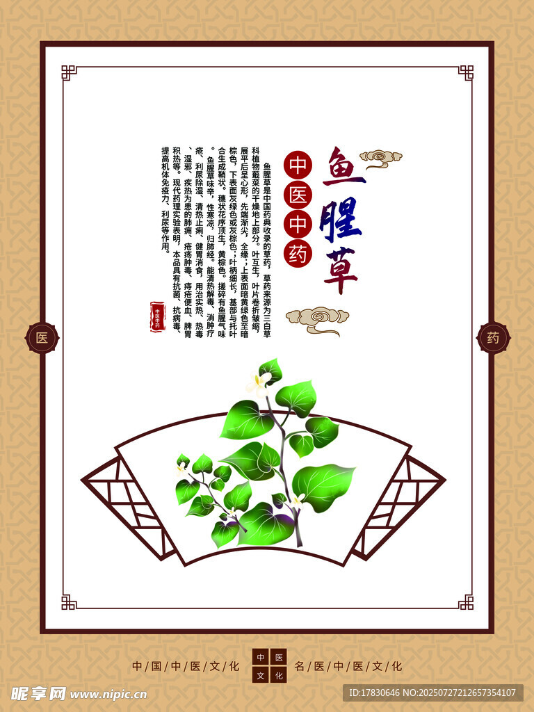 传统中式养生茶饮插画