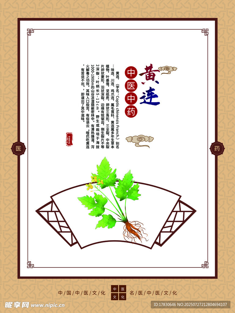 传统中药艾叶展示图