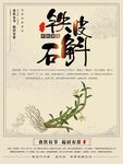铁皮石斛宣传图