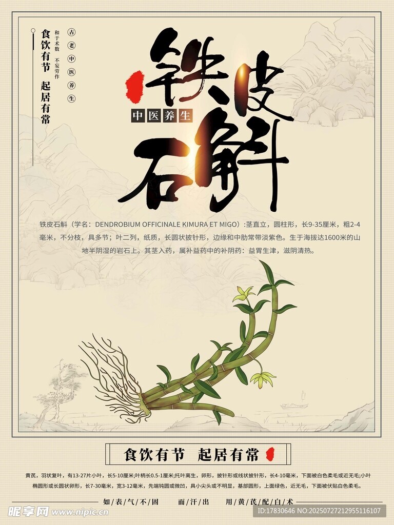 铁皮石斛宣传图