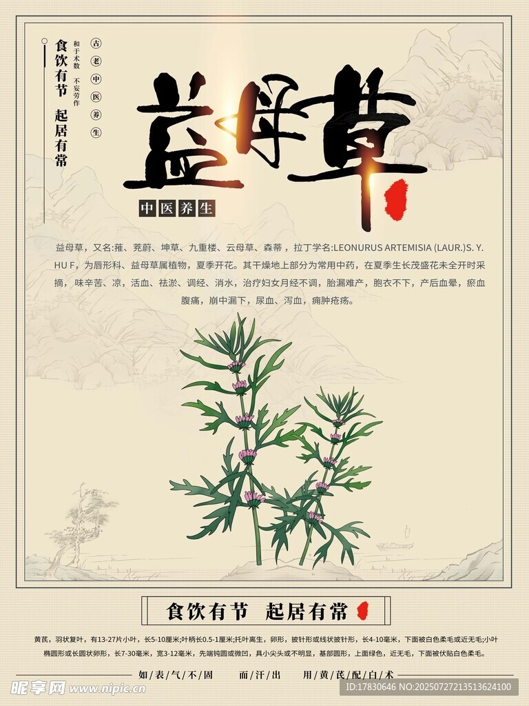 益肝草植物插画海报