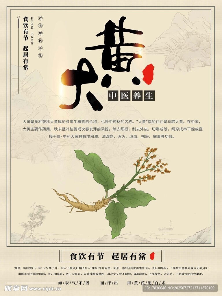 黄大茶植物展示图