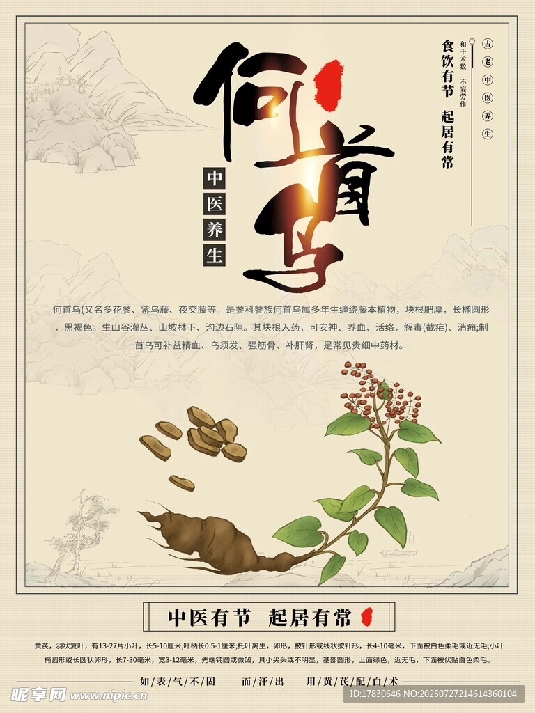 传统中药何道地展示