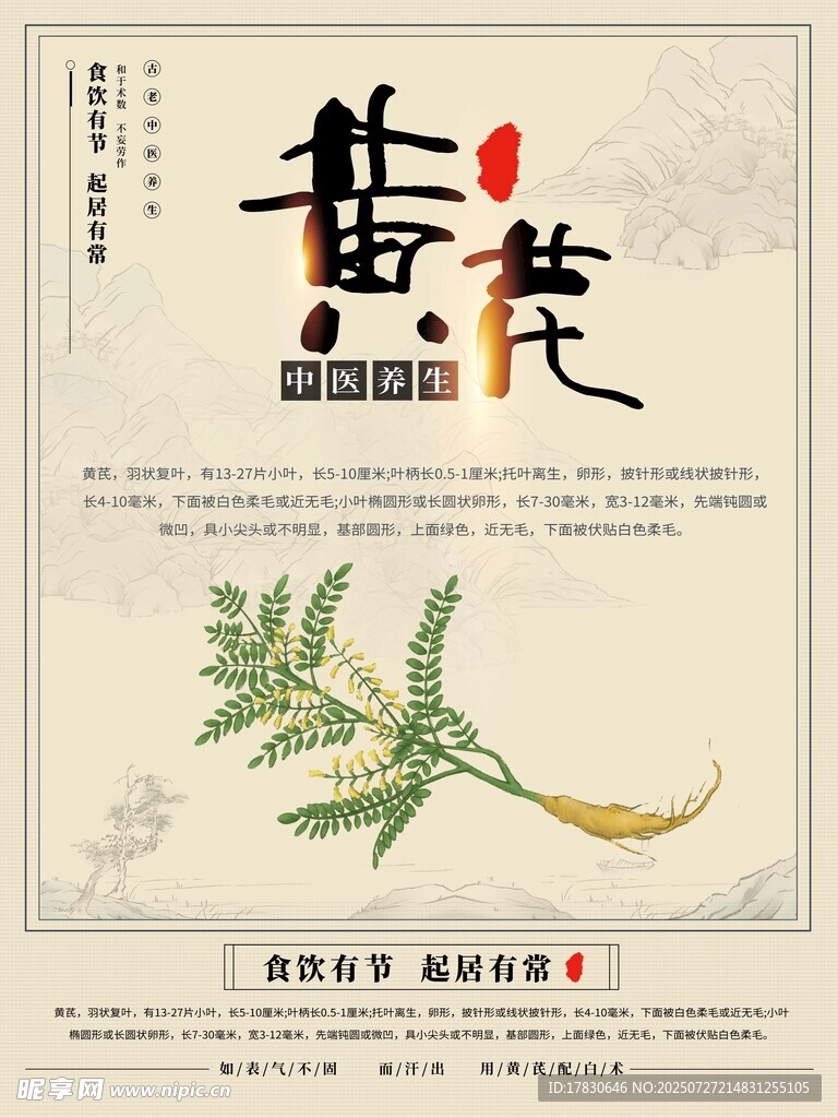 传统中药材黄芪展示
