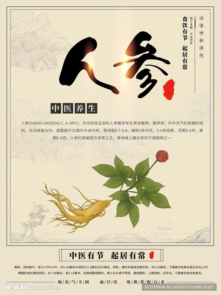 传统中药材人参宣传图